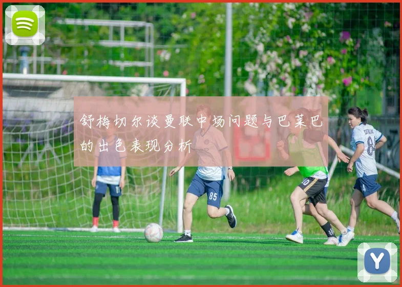 舒梅切尔谈曼联中场问题与巴莱巴的出色表现分析